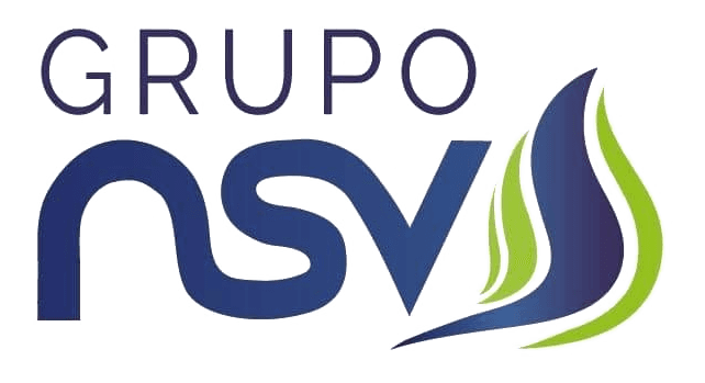 Grupo NSV
